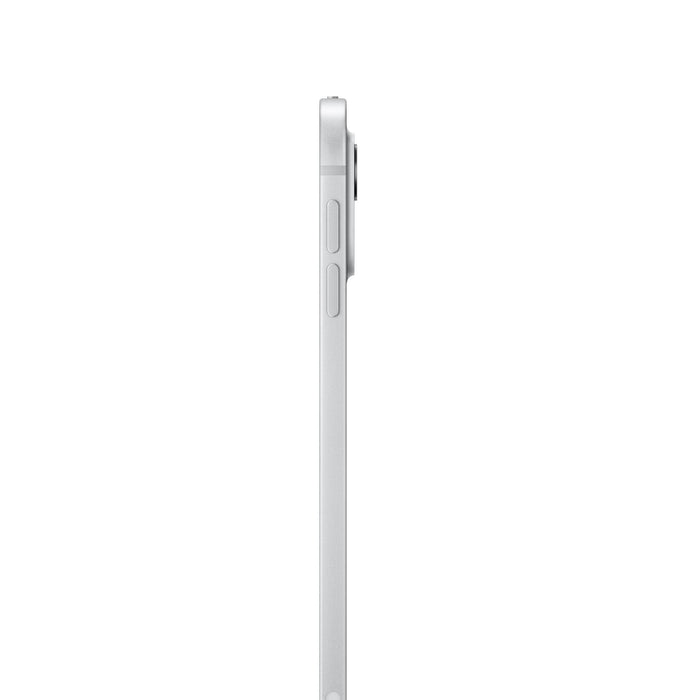 Apple iPad Pro 11" (M4) With Standard Glass